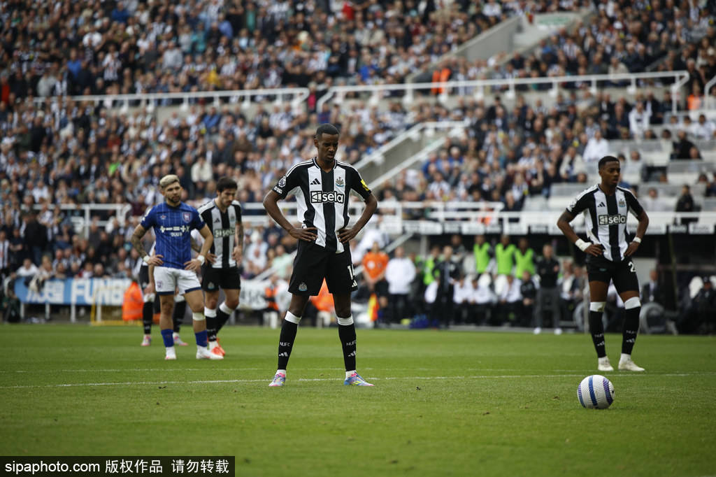 他的这一精 他的这一精